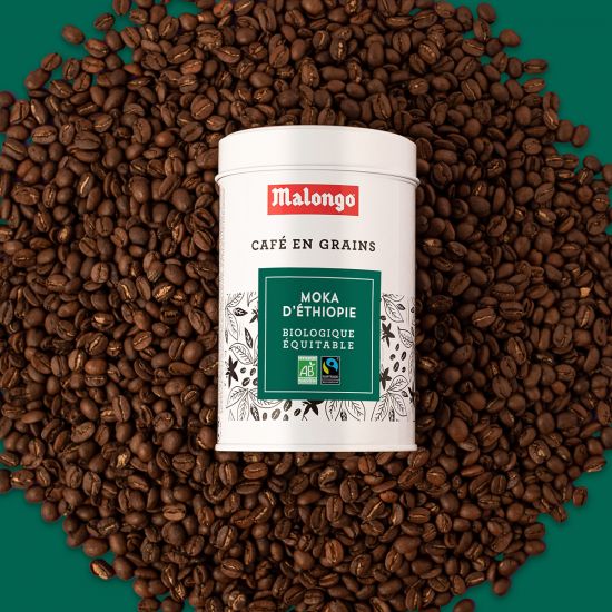 Café en grano Moka de Etiopía - Lote de 12 cajas