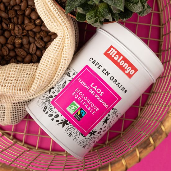 Café en grano Laos - Lote de 12 cajas