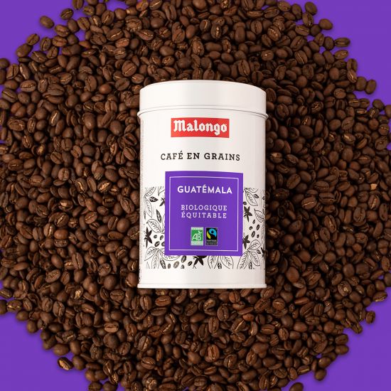 Café en grano de Guatemala