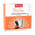 Maté plantes et épices bio en dosette