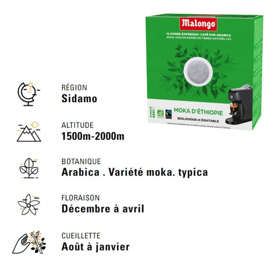 Doses Moka d'Ethiopie