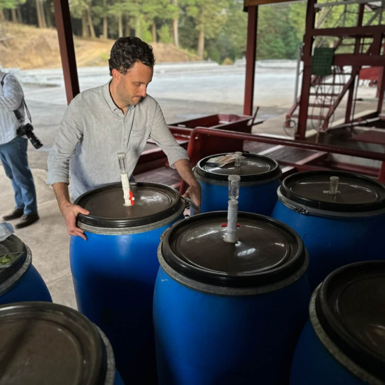 Café en grano Costa Rica Anaeróbico - Filtración