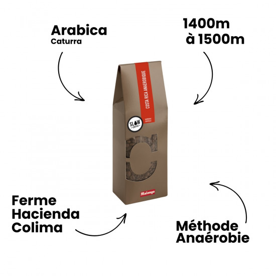 Café en grano Costa Rica Anaeróbico - Filtración