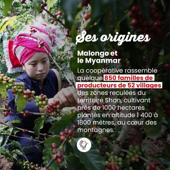 Cialde Myanmar Shan