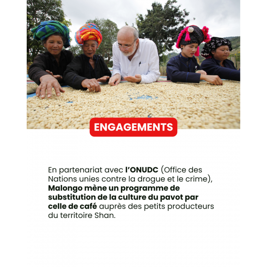 Café en grano de Myanmar Shan