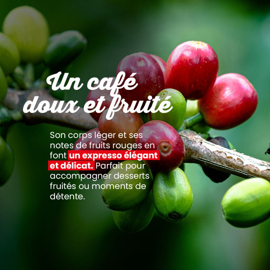 Caffè in grani Colombia IGP - Lotto da 12 barattoli