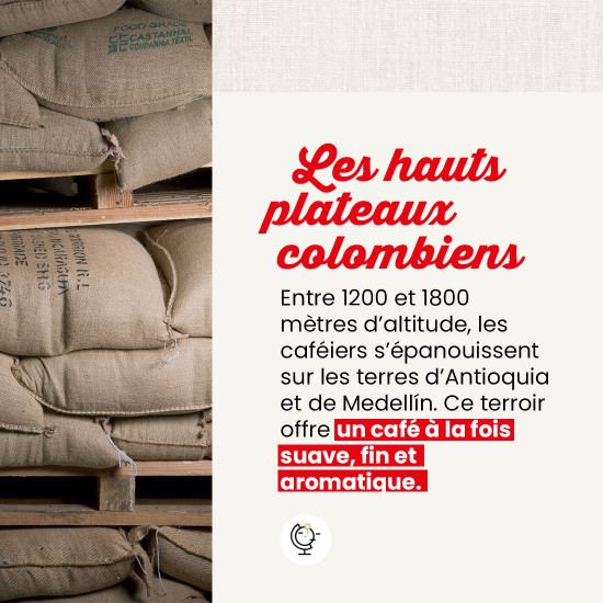 Colombia IGP - 160 cialde