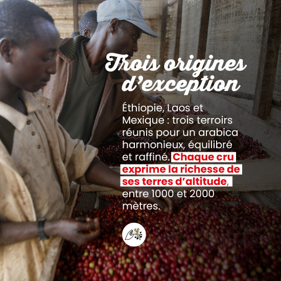 Café en grano Elysee - 480g