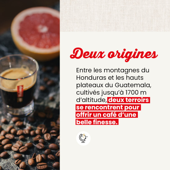 Cialde Honduras/Guatemala