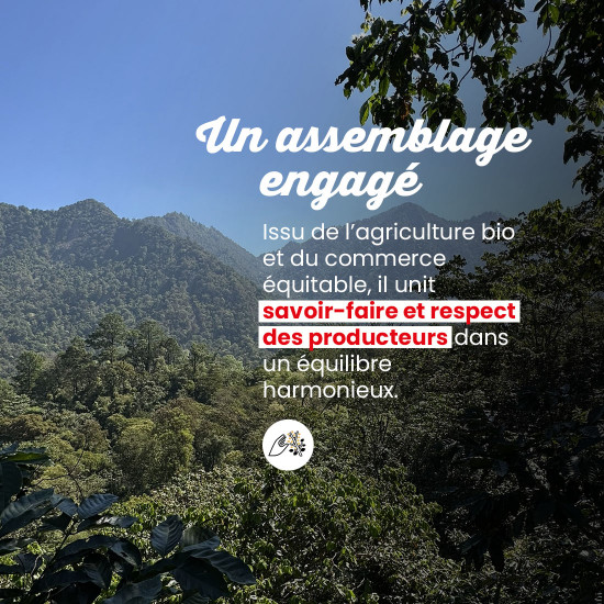 Doses Honduras/Guatemala