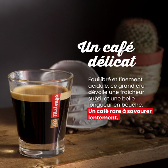 Caffè macinato Zimbabwe Farfell