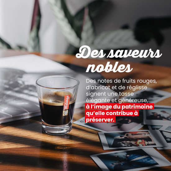 Café en grano Elysee