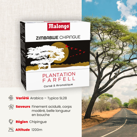 Doses Zimbabwe Chipingue