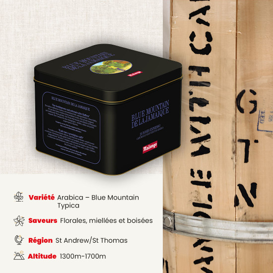 Cialde Blue Mountain Mountain dalla Giamaica