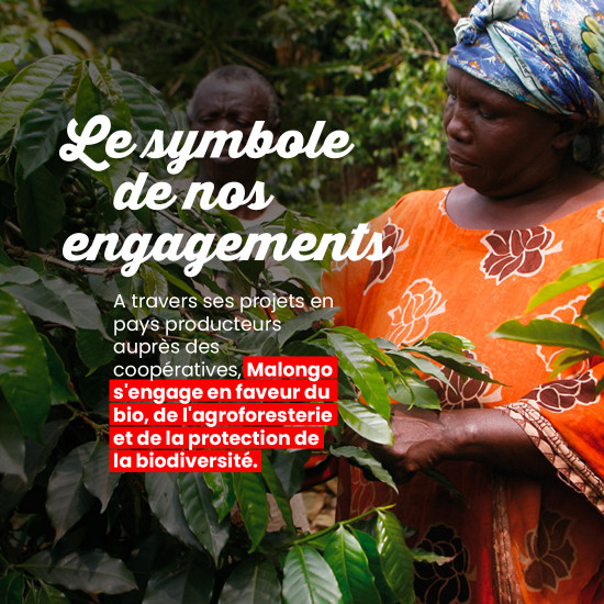 Caffè macinato La Tierra