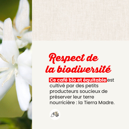 Café moulu La Tierra - Lot de 12 boites