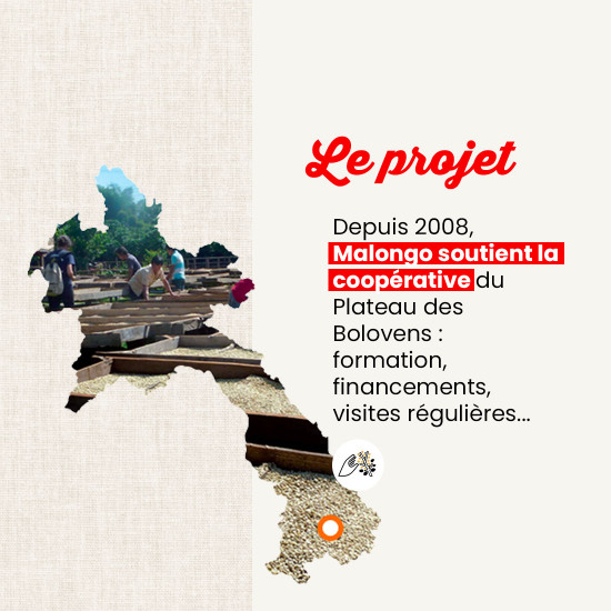 Caffè macinato Laos Bolovens