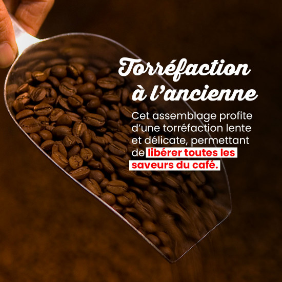 Italian Style - 160 doses