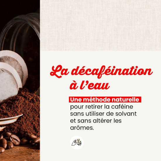 Café Grains Déca Aqua - Lot 12 boites