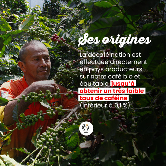 Café en grano Déca Aqua - Lote de 12 cajas