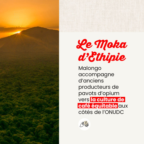 Moka Etiope - 160 cialde