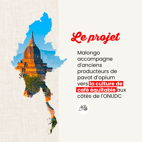 Caffè in grani Myanmar Shan - Filtrazione