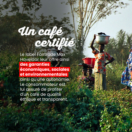 Café moulu Petits Producteurs - L'intensité