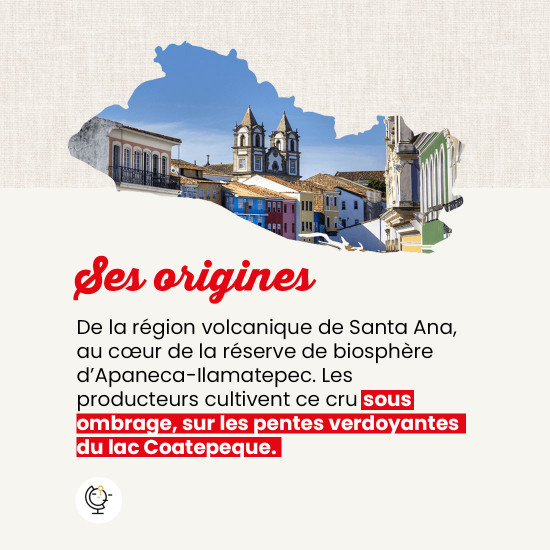 Caffè in grani Salvador La Reforma