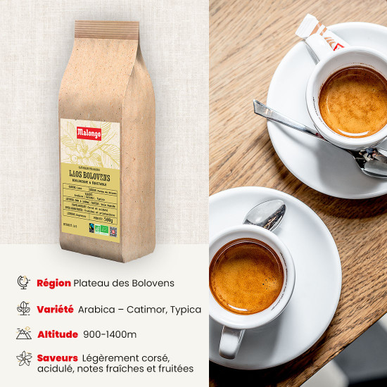 Café en grano Laos Bolovens