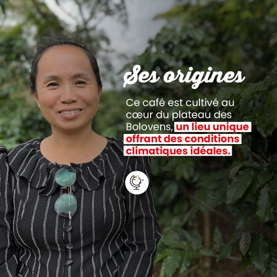 Café Grains Laos Bolovens