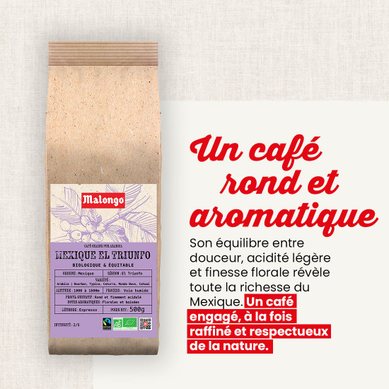 Café en grano México El Triunfo