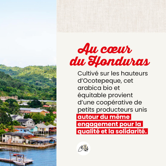 Caffè in grani Honduras