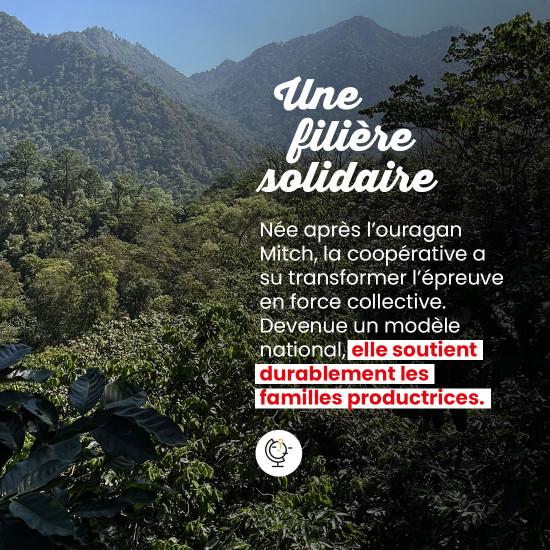 Café Grains Honduras