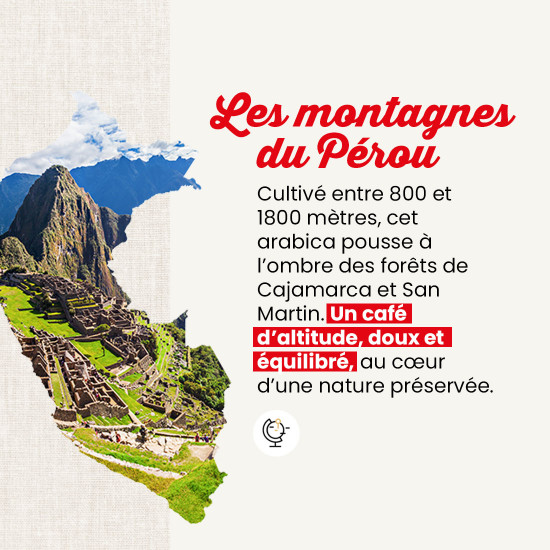 Café en grano Perú