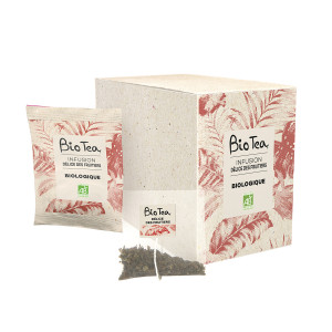 Infuso Délices des fruitiers biologica in bustine