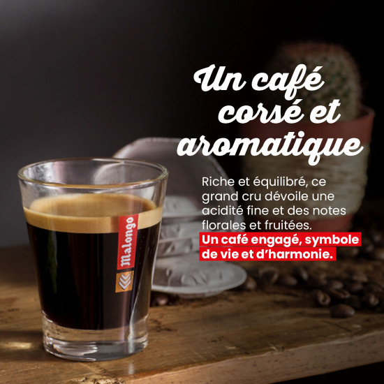 Caffè Macinato Congo Virunga