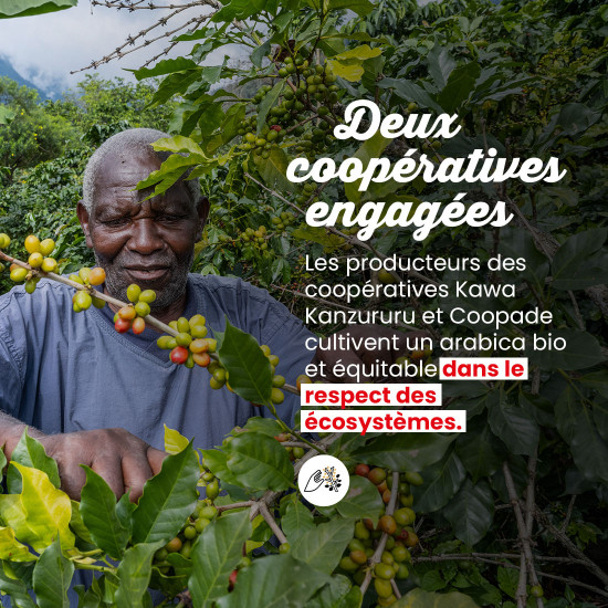 Caffè Macinato Congo Virunga