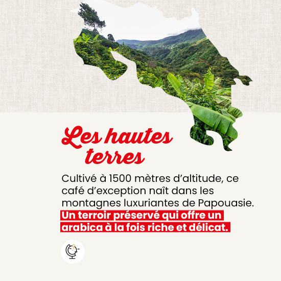 Café moulu Pur Papouasie