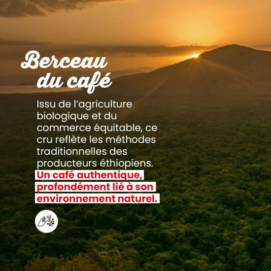 Caffè macinato Etiopia Sidamo