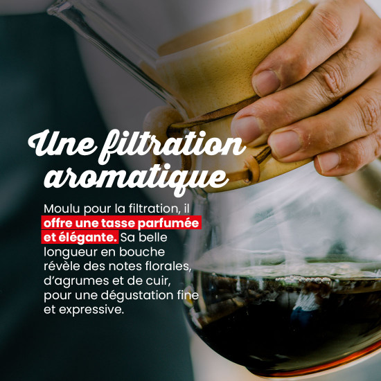 Caffè macinato Etiopia Sidamo