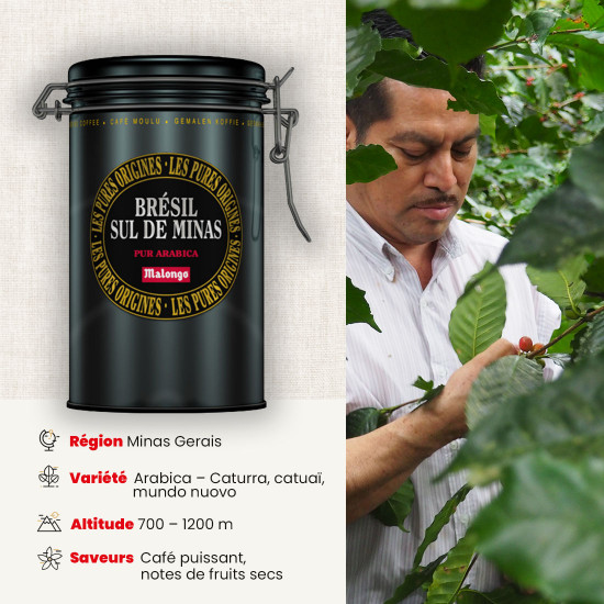 Café molido Brasil Sul de Minas