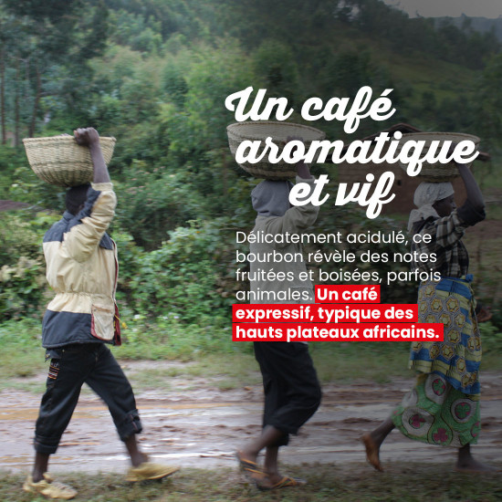 Café moulu Burundi Presse Française
