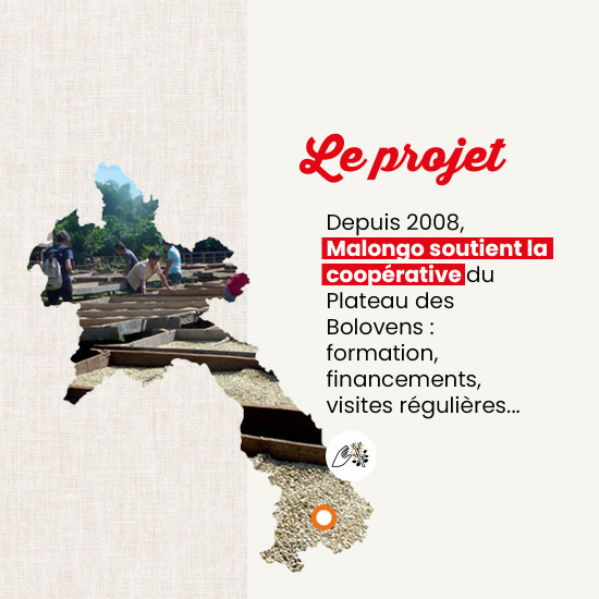 Caffè macinato Laos Bolovens