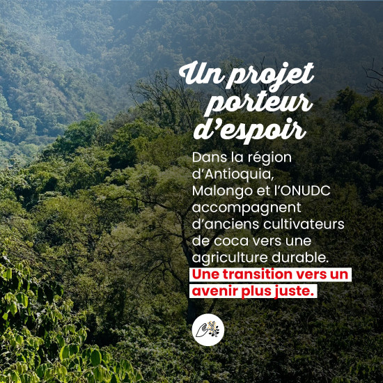 Caffè macinato Colombian Antioquia