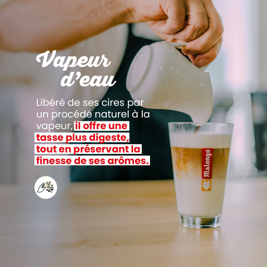 Café en grano Les Purs Matins