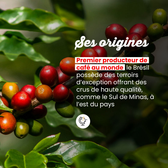 Café en grano Brasil