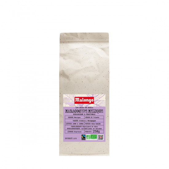 Café Grains Maragogype Mexique