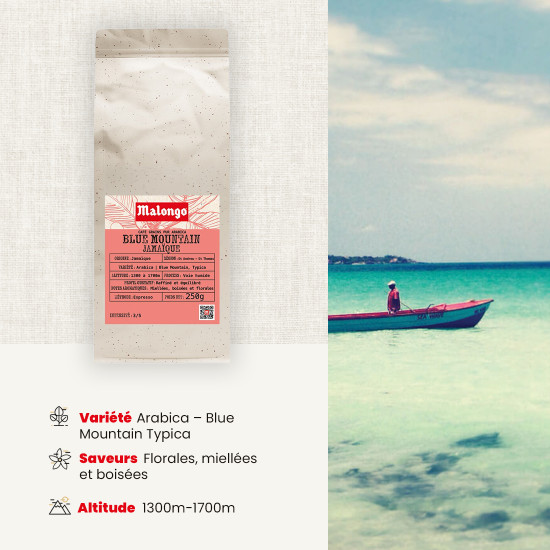 Café en grano Blue Mountain de Jamaica