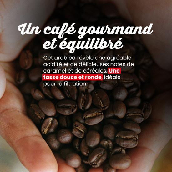 Café en grano Ecuador - Filtración