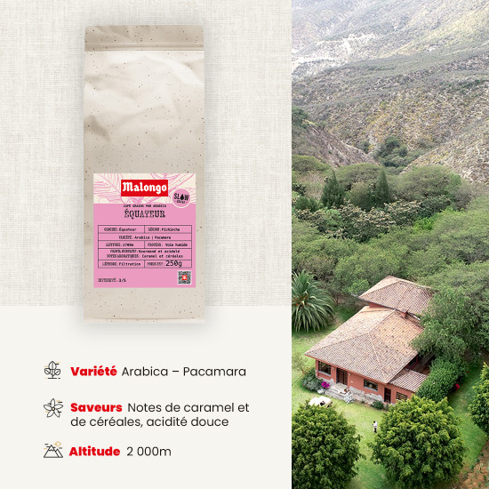 Café Grains Equateur - Filtration